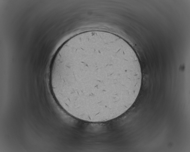 X0000089371523200707131625