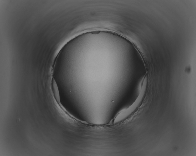 X0000089371524200707131625