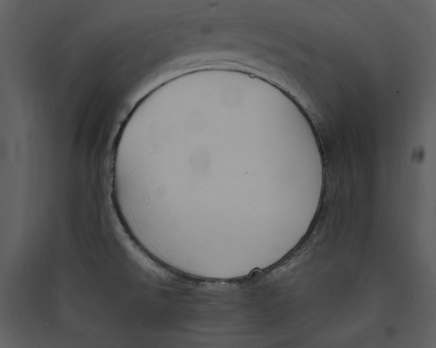 X0000089371526200707131625