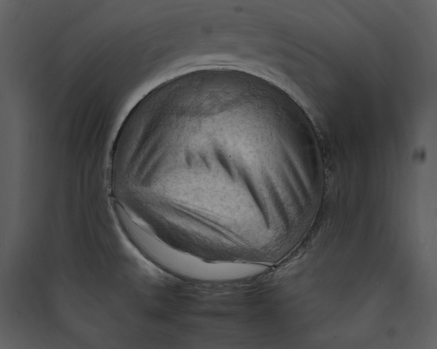 X0000089371527200707131625