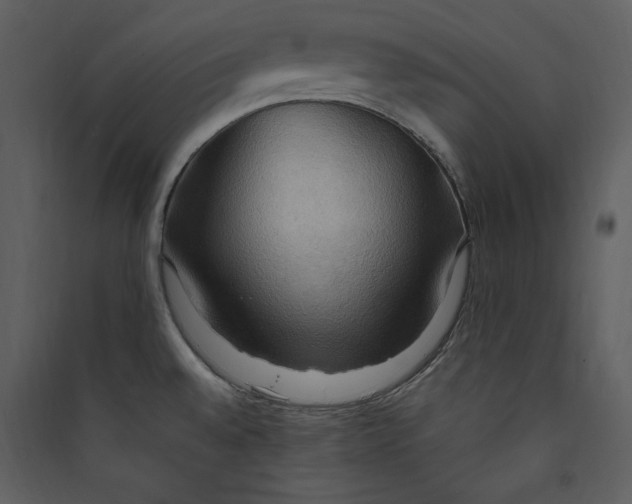 X0000089371528200707131625