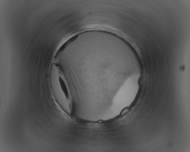 X0000089371529200707131625