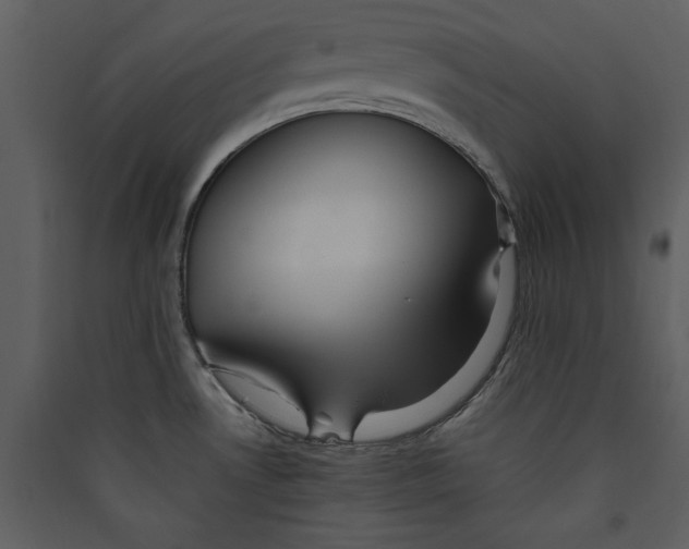 X0000089371530200707131625