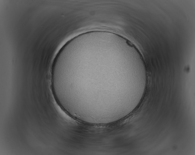 X0000089371531200707131625