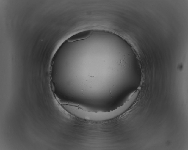 X0000089371532200707131626