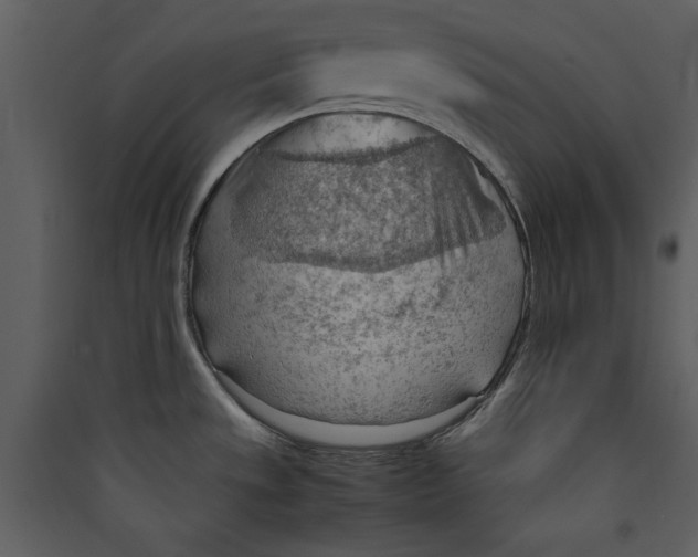 X0000089371533200707131626