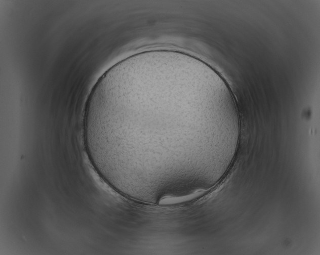 X0000089371534200707131626