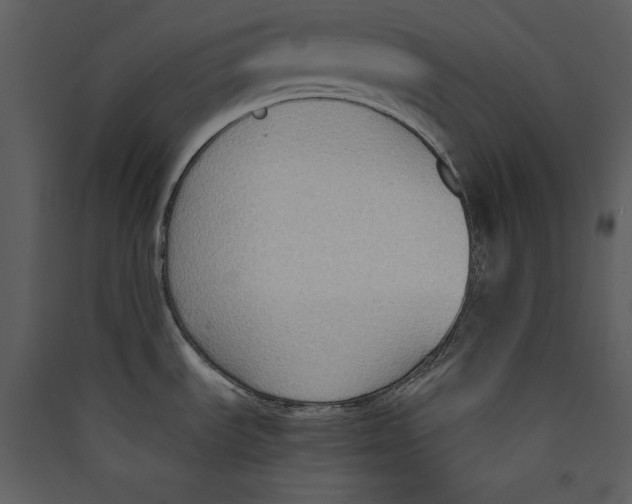 X0000089371535200707131626