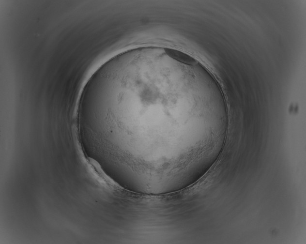 X0000089371536200707131626