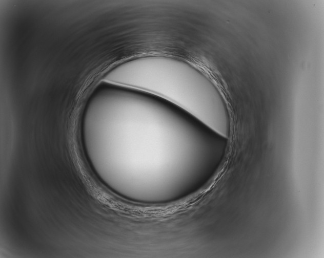 X0000089380001200706150920