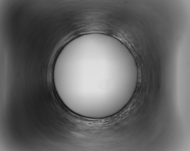 X0000089380004200706150920