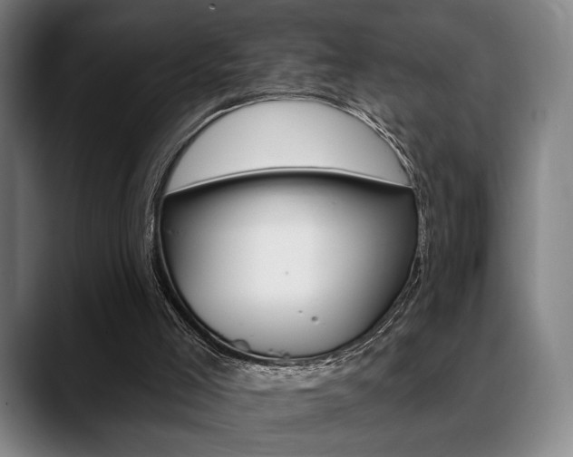 X0000089380005200706150920