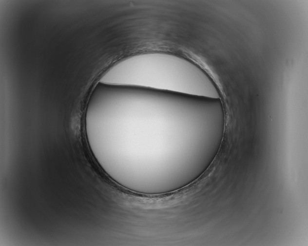 X0000089380010200706150920