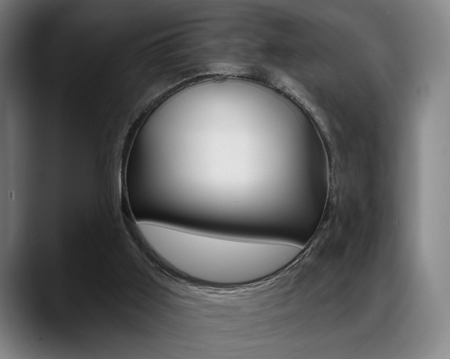 X0000089380011200706150920