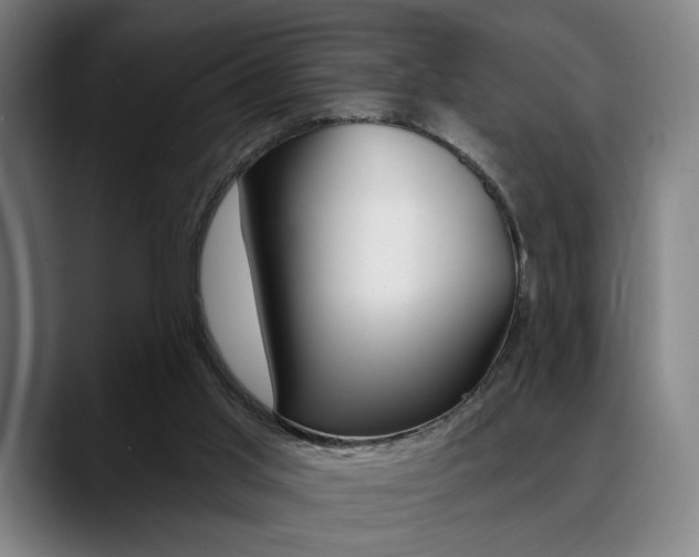 X0000089380013200706150920