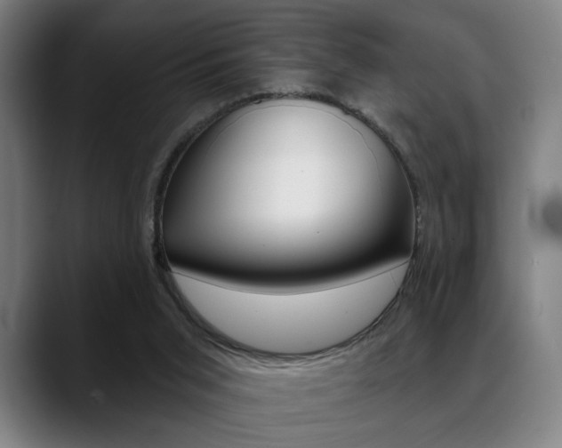 X0000089380015200706150920