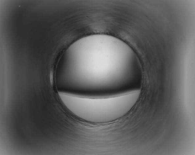 X0000089380019200706150920