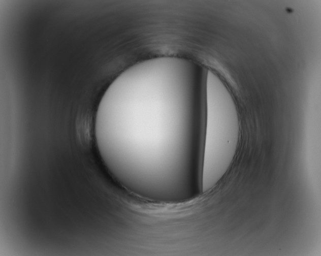 X0000089380023200706150920