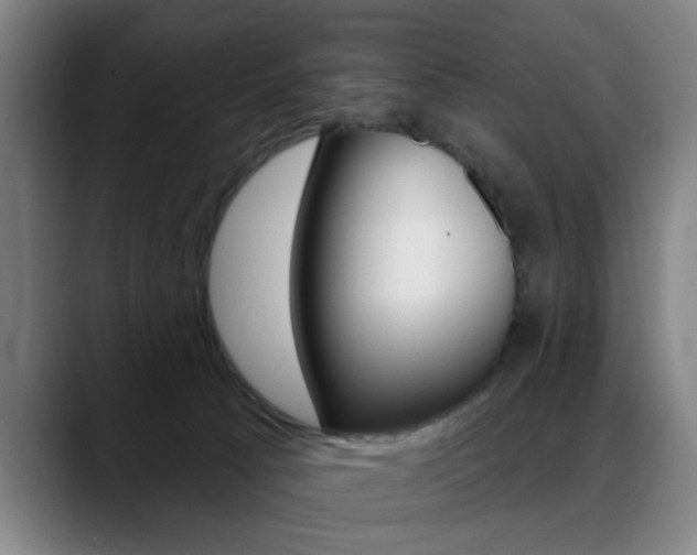 X0000089380033200706150920