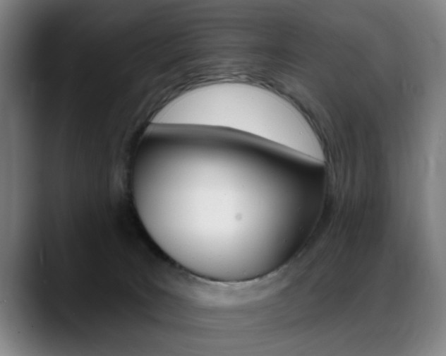 X0000089380035200706150920