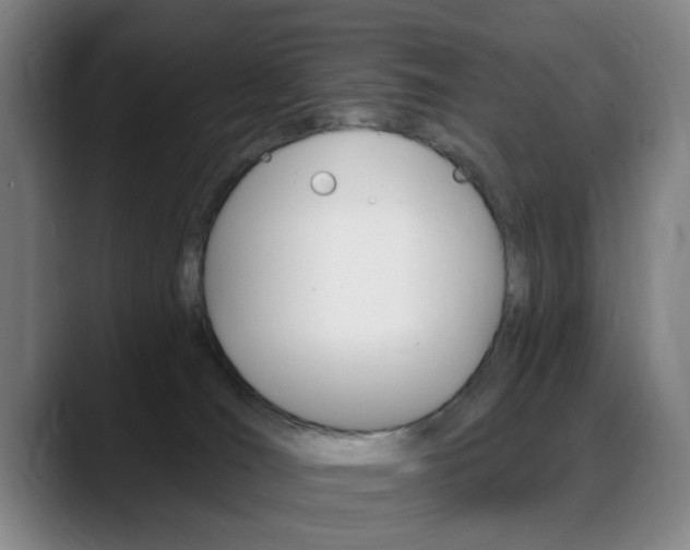 X0000089380036200706150920