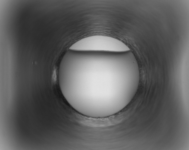 X0000089380042200706150920
