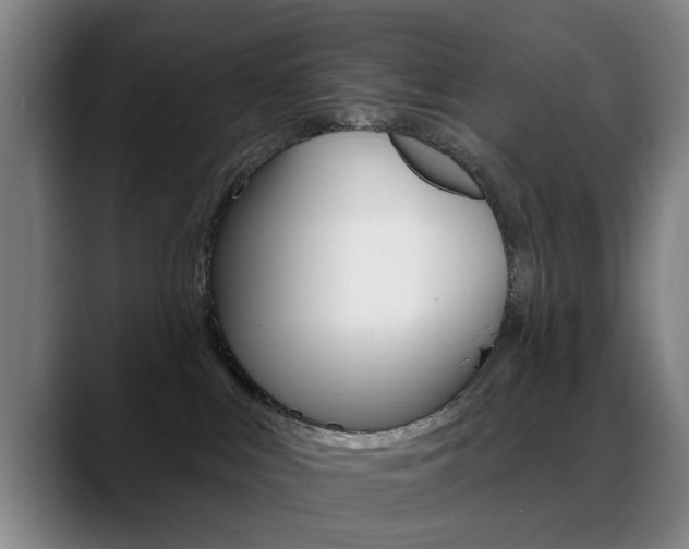 X0000089380043200706150920