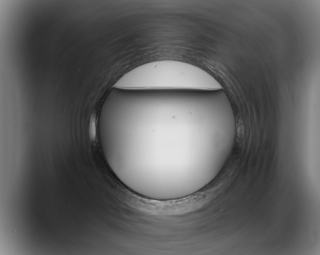 X0000089380046200706150920