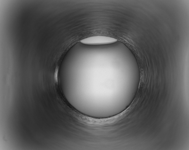 X0000089380047200706150920