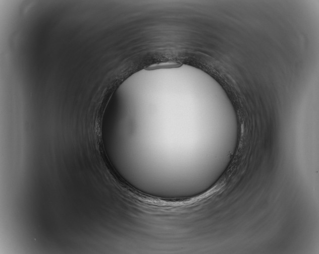 X0000089380048200706150920