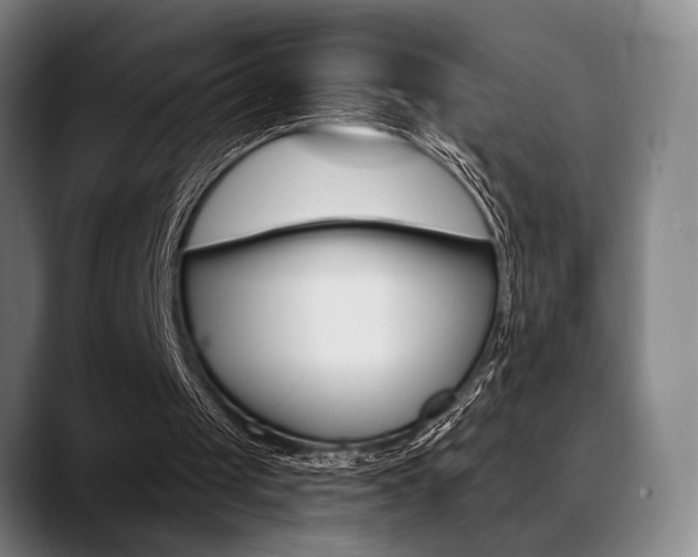 X0000089380049200706150919
