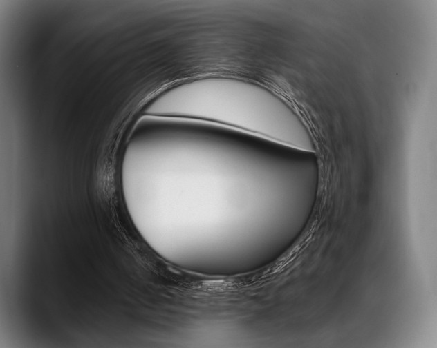 X0000089380050200706150919