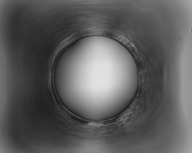 X0000089380051200706150919
