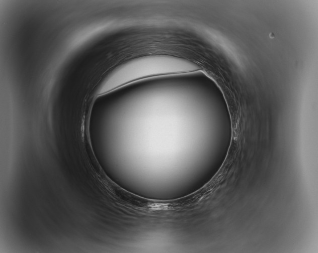 X0000089380052200706150919
