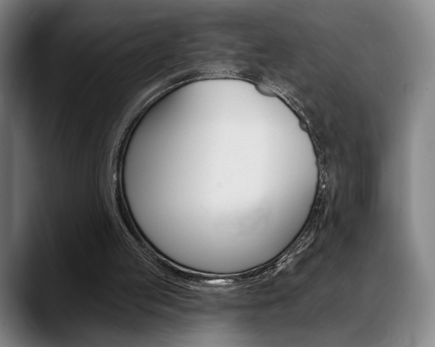 X0000089380053200706150919