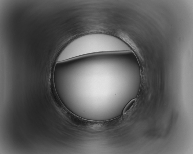 X0000089380058200706150919