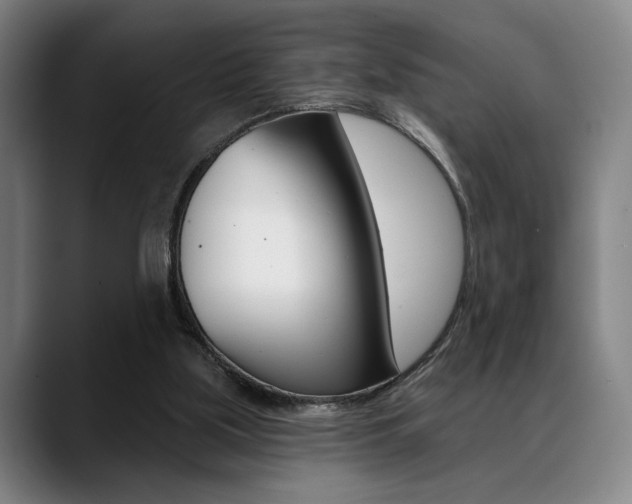 X0000089380059200706150919