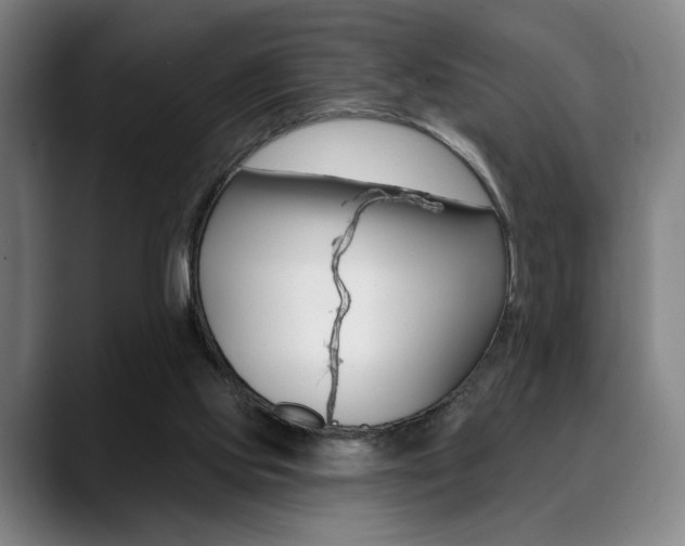 X0000089380061200706150919