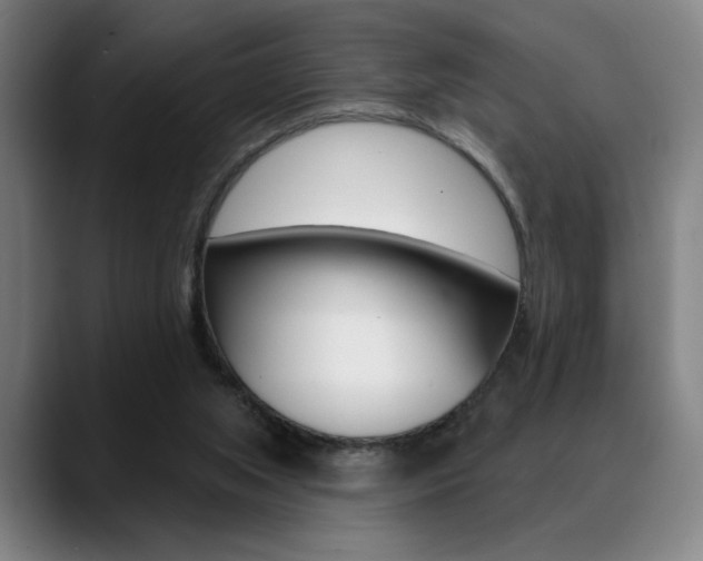 X0000089380063200706150919