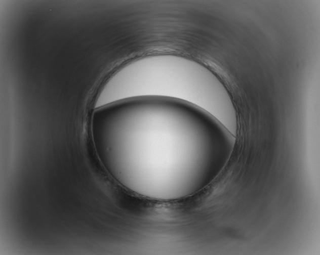 X0000089380064200706150919