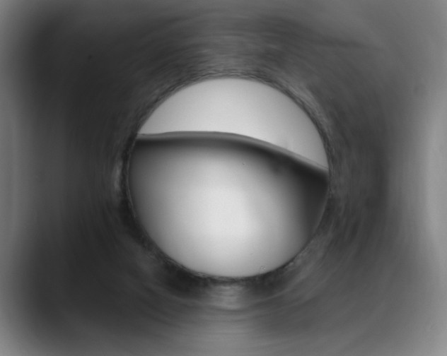 X0000089380066200706150919
