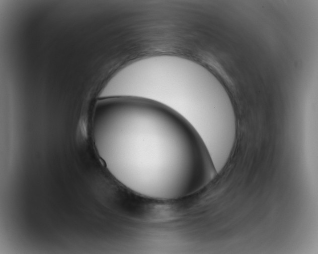 X0000089380068200706150919