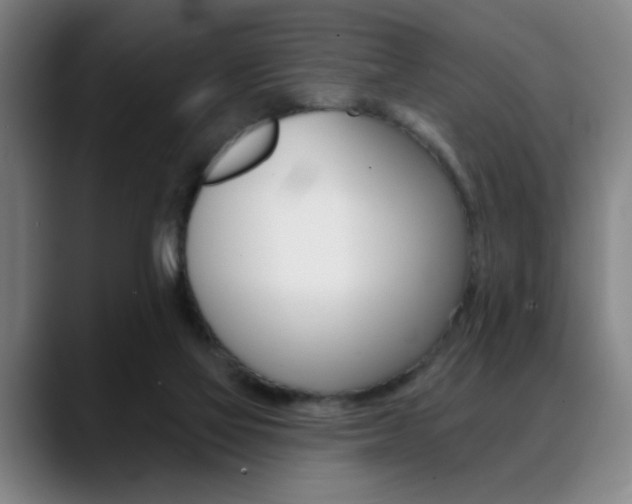 X0000089380069200706150919