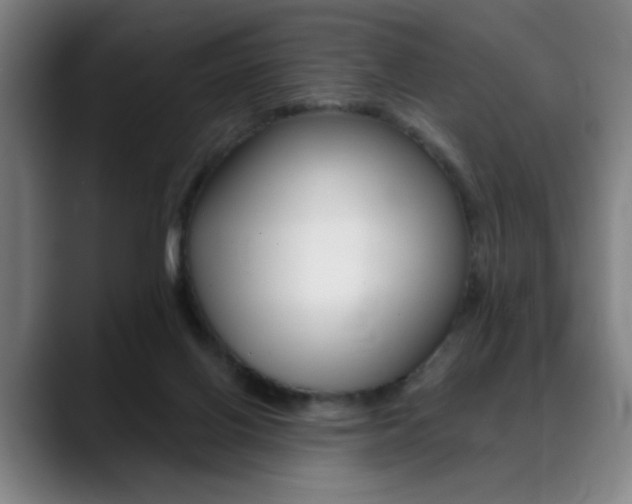 X0000089380070200706150919