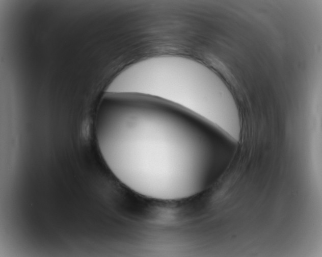 X0000089380071200706150919