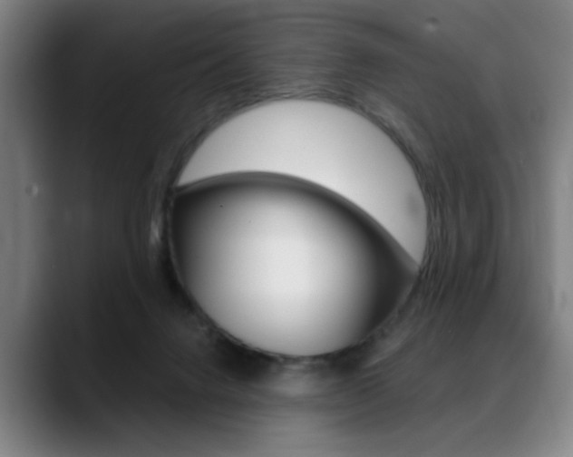 X0000089380072200706150919