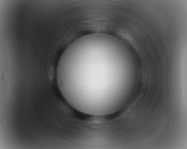 X0000089380077200706150920