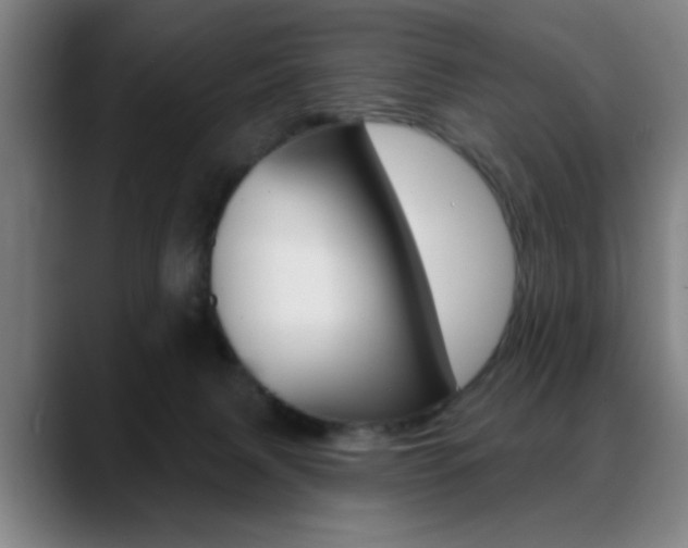 X0000089380079200706150920