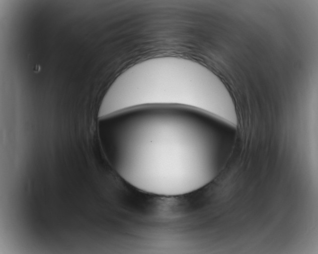 X0000089380085200706150920