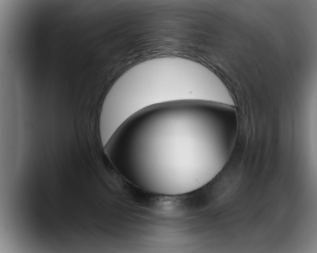 X0000089380088200706150920